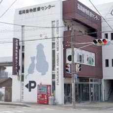 福岡動物医療センター 福岡動物医療センター