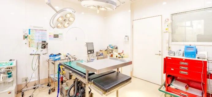 手術実績豊富な獣医師、リハビリ専門資格を有する獣医師など熟練の獣医師が対応