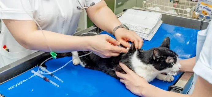 高度医療も可能な大学病院を紹介