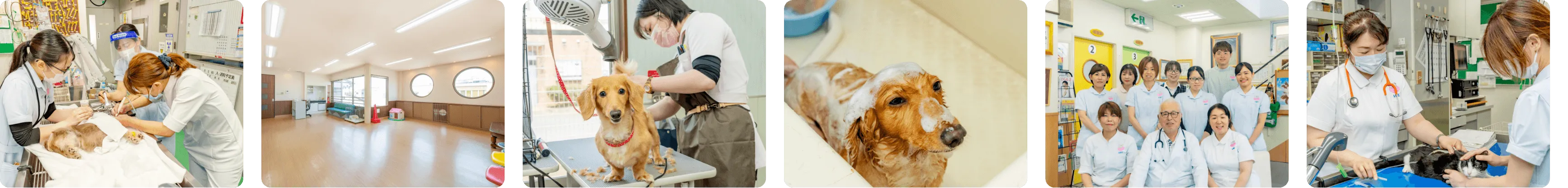 福岡動物医療センターグループ
