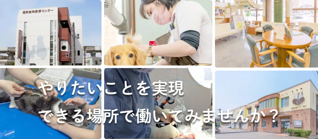 やりたちことを実現できる場所で働いてみませんか?