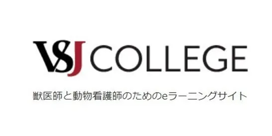 VSJ COLLEGE